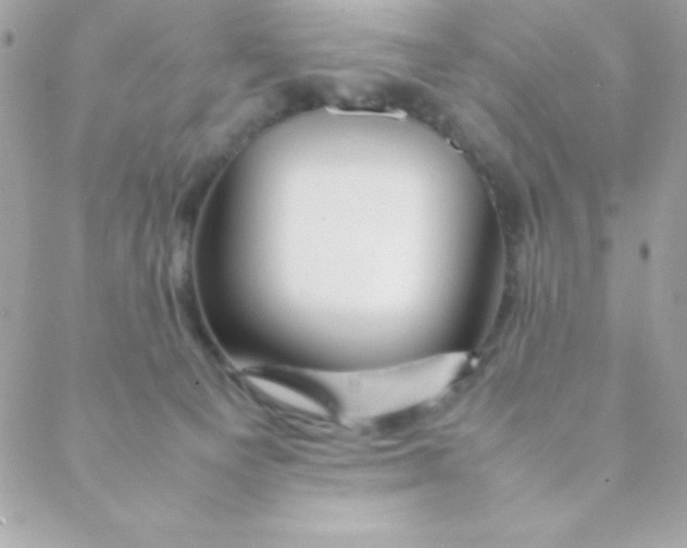 X0000088620129200706151902