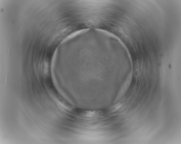 X0000088620130200706151902