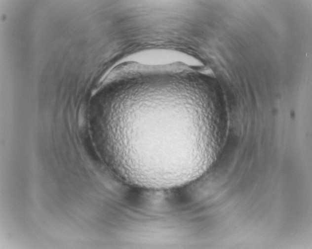 X0000088620131200706151902