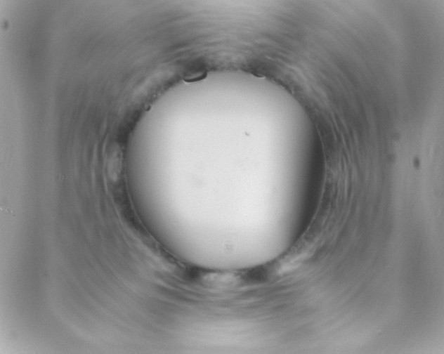 X0000088620133200706151902