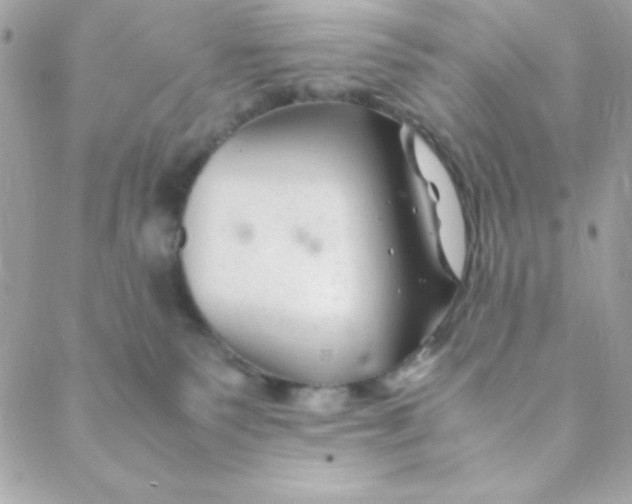 X0000088620135200706151901