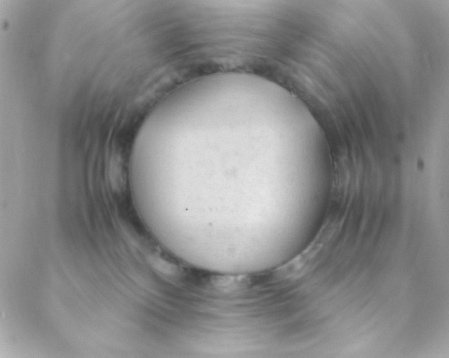 X0000088620136200706151901