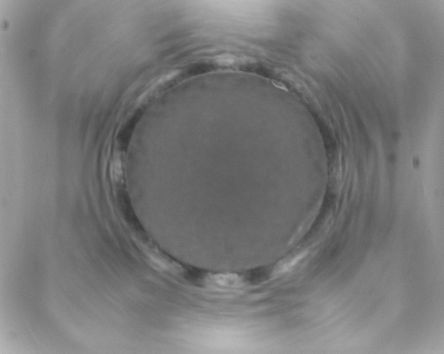 X0000088620137200706151901