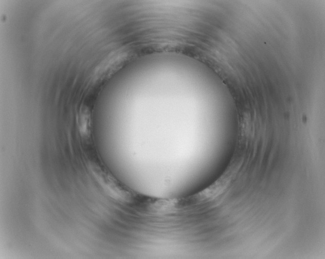 X0000088620138200706151901