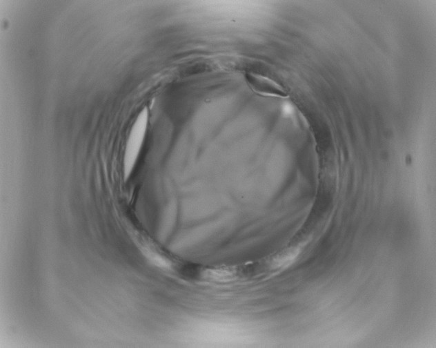 X0000088620139200706151901