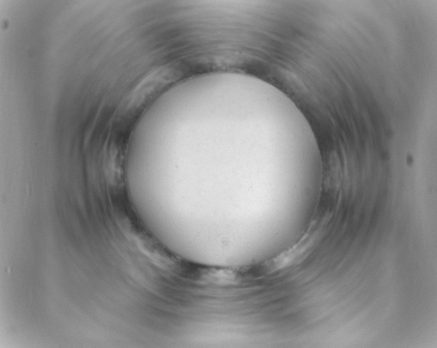 X0000088620140200706151901