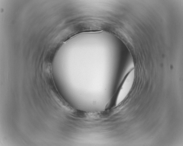 X0000088620141200706151901