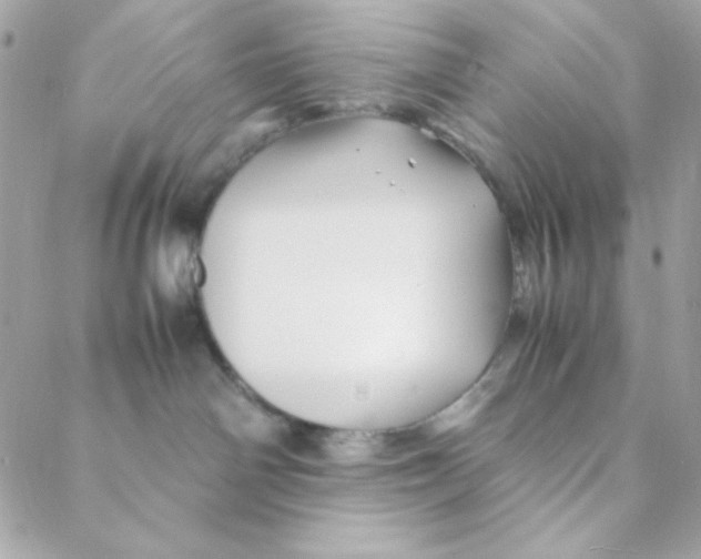 X0000088620142200706151901