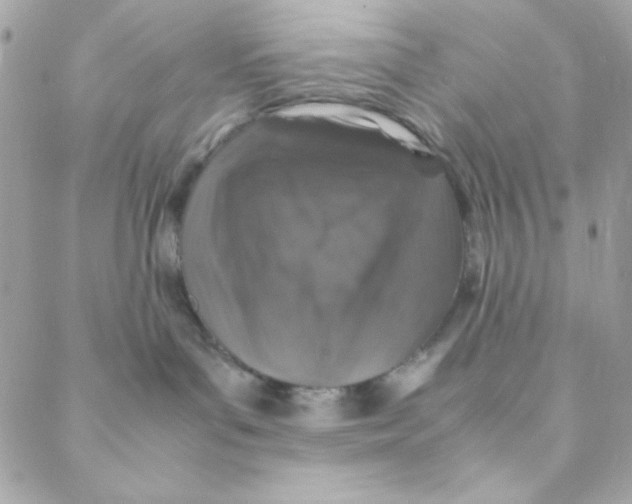 X0000088620143200706151901