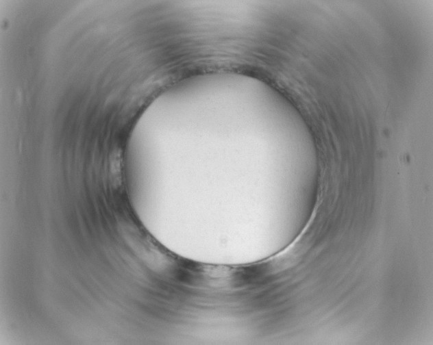 X0000088620144200706151901