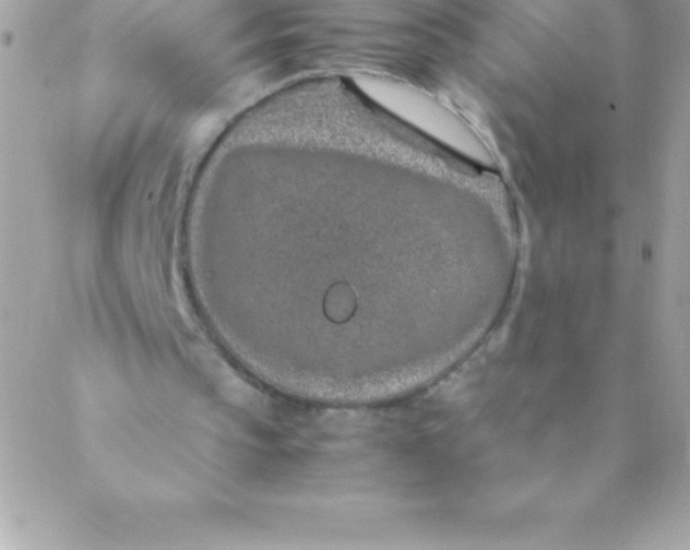 X0000088620145200706151901