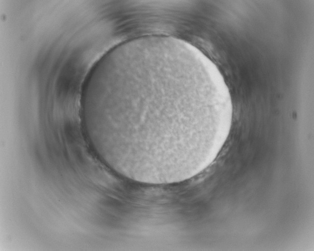 X0000088620146200706151901