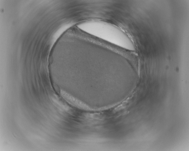 X0000088620147200706151901