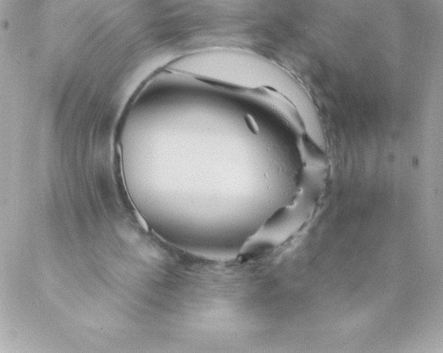 X0000088620148200706151901