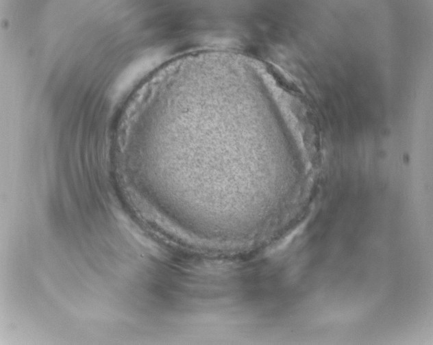 X0000088620149200706151901