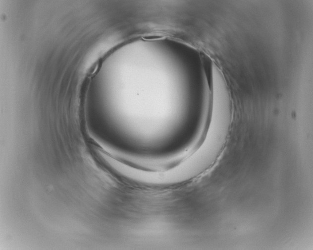 X0000088620150200706151901