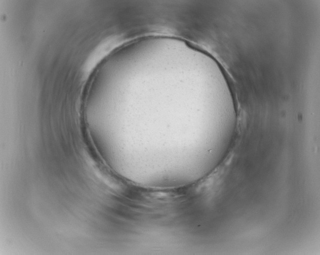 X0000088620151200706151901