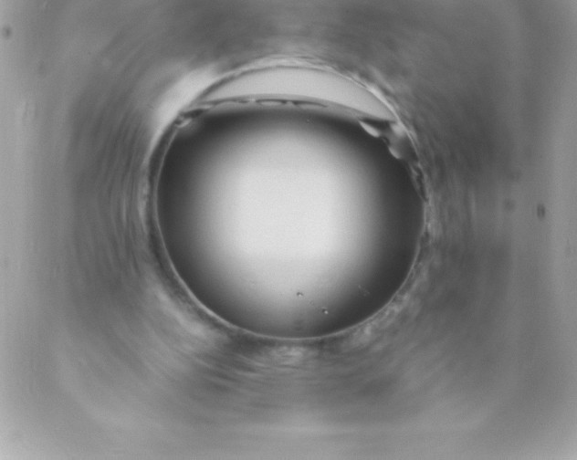 X0000088620152200706151901