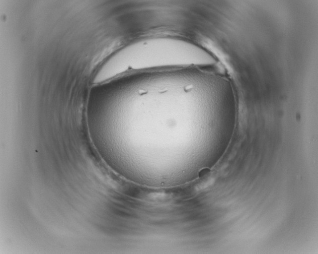 X0000088620153200706151901