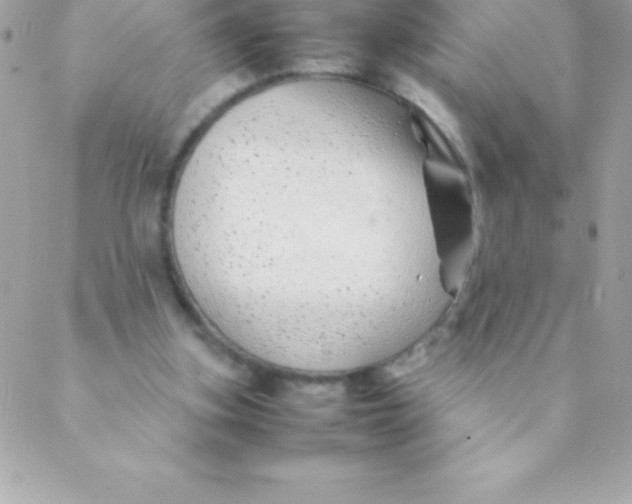 X0000088620155200706151901