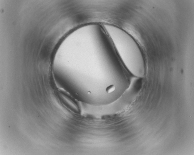 X0000088620156200706151901