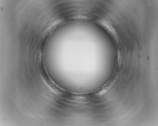 X0000088620157200706151901