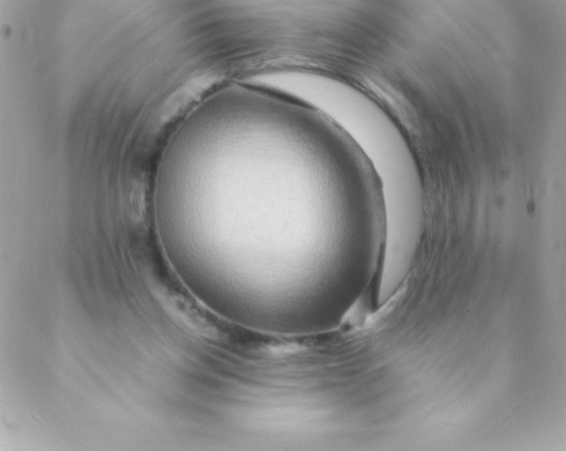 X0000088620158200706151901