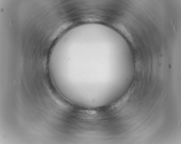 X0000088620159200706151901