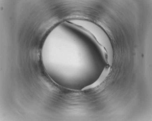 X0000088620160200706151901