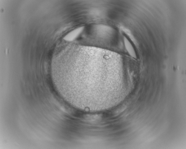 X0000088620161200706151901