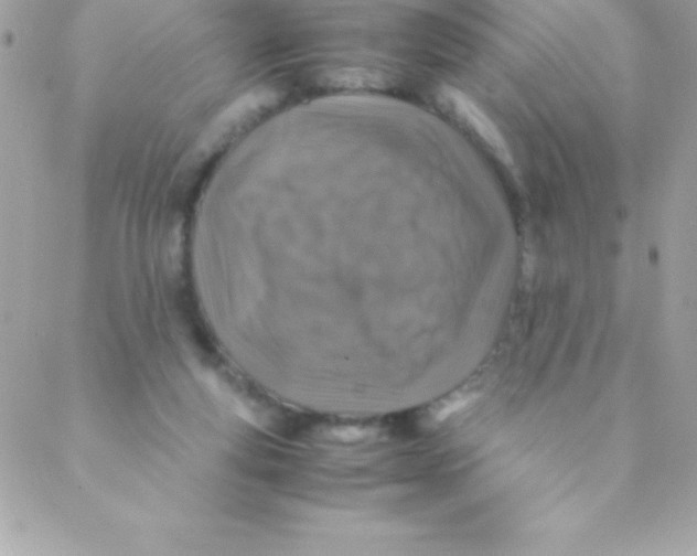 X0000088620163200706151901