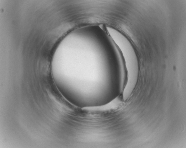 X0000088620164200706151901