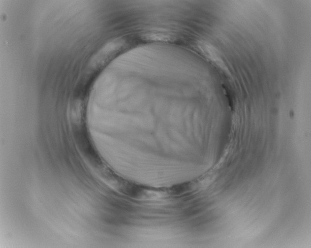 X0000088620167200706151901