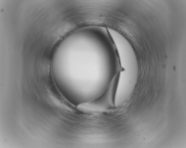 X0000088620168200706151901