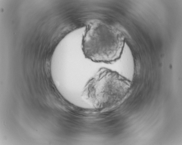 X0000088620169200706151901