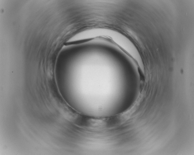 X0000088620170200706151901