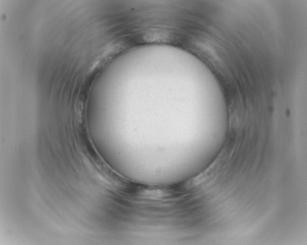 X0000088620171200706151901