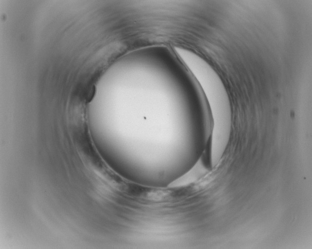 X0000088620172200706151901