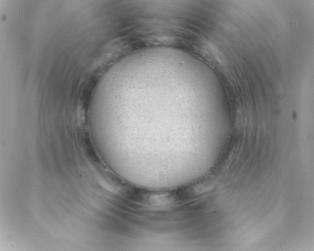 X0000088620173200706151901