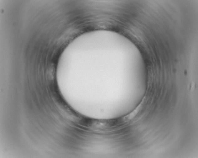 X0000088620174200706151901