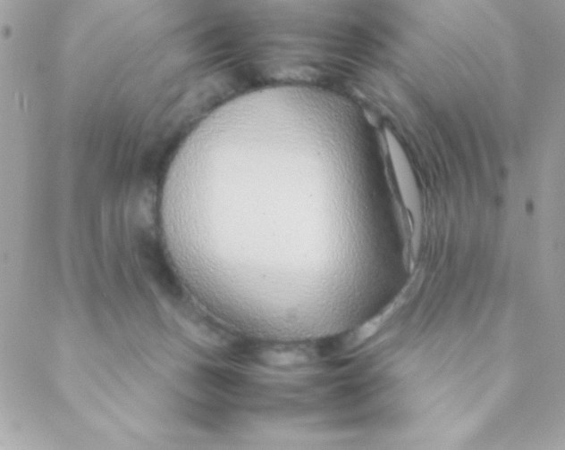 X0000088620175200706151901