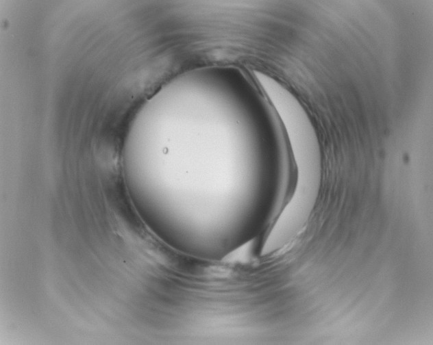 X0000088620176200706151901