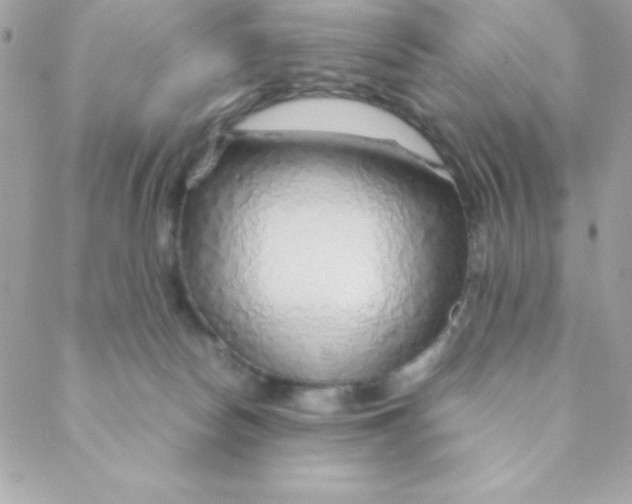 X0000088620178200706151901