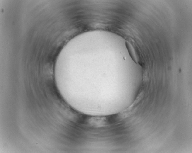 X0000088620179200706151901