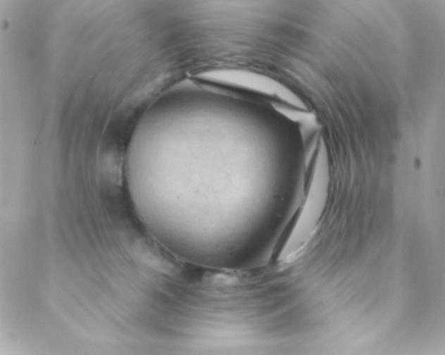 X0000088620180200706151901