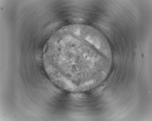 X0000088620181200706151901