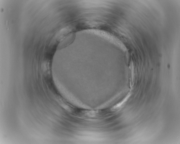 X0000088620182200706151901