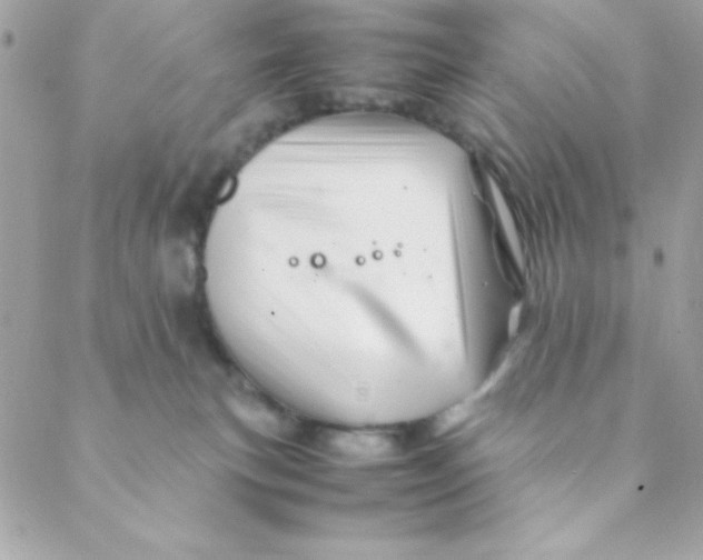 X0000088620183200706151901