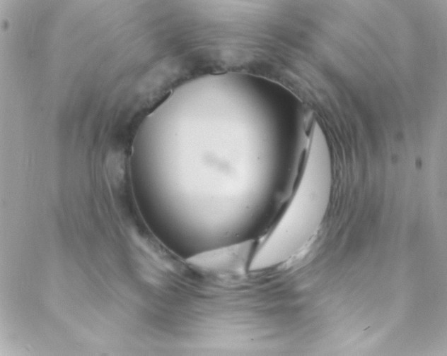 X0000088620184200706151901