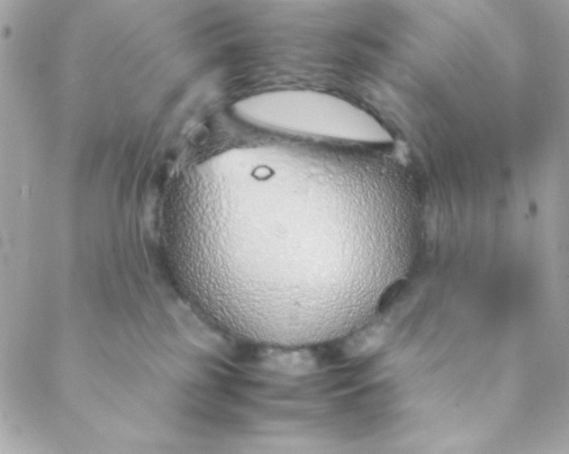 X0000088620185200706151901